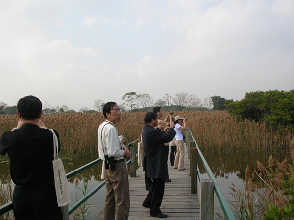 Mai Po Wetland Nature Reserve Tourists